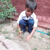 Green Seekers Activity